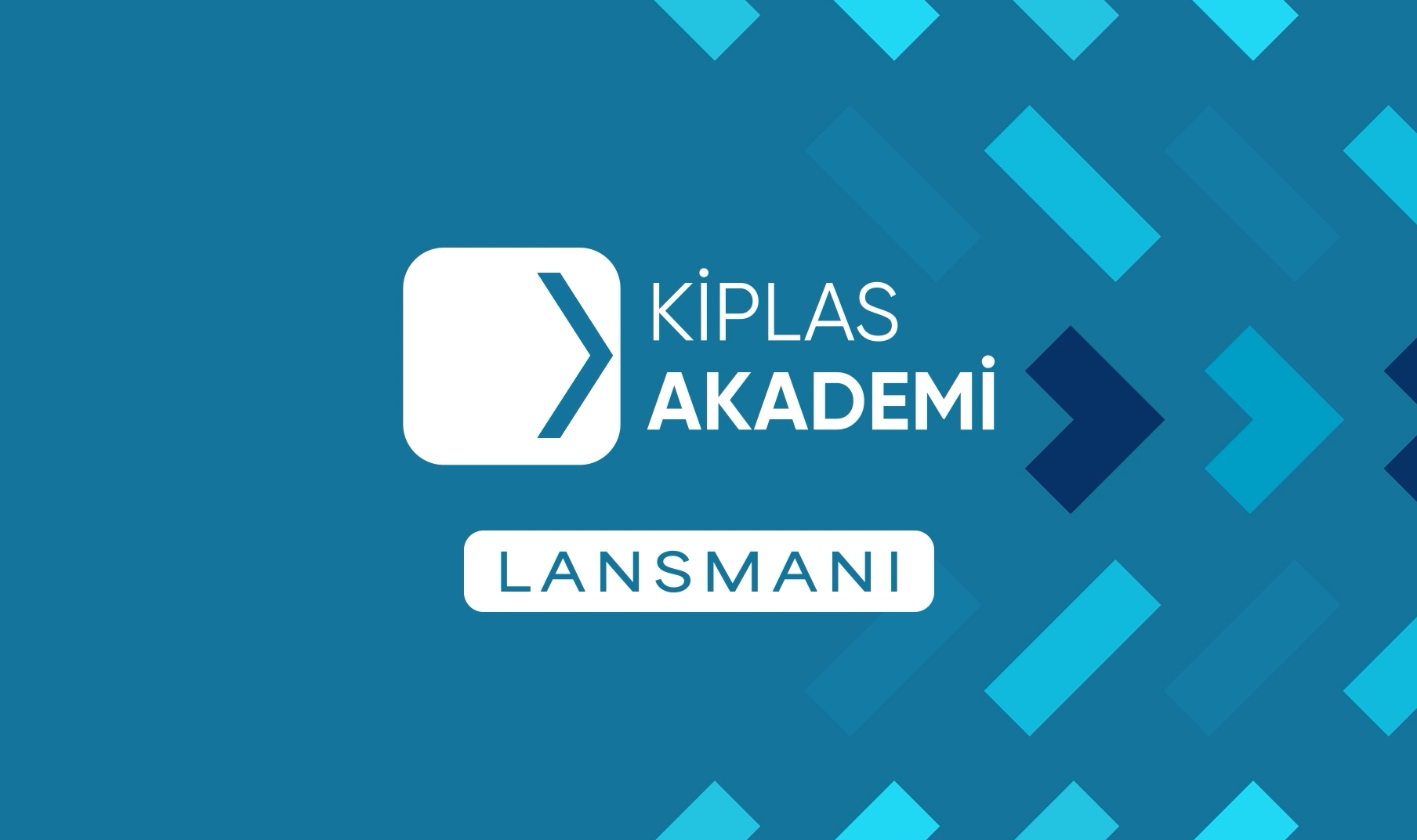 SVSTUDIOS Kampanya incelemesi